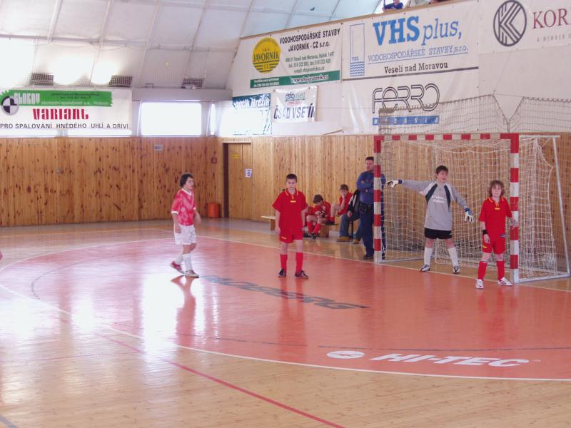 Mladší žáci na turnaji ve Veselí nad Moravou ( 17.2.2007 )